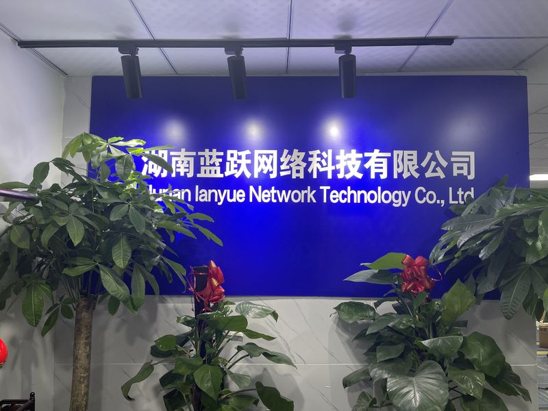 Китай Hunan Lanyue Network Technology Co., Ltd. Профиль компании